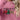 8999fe23541d42f986d62c344079802a-Max