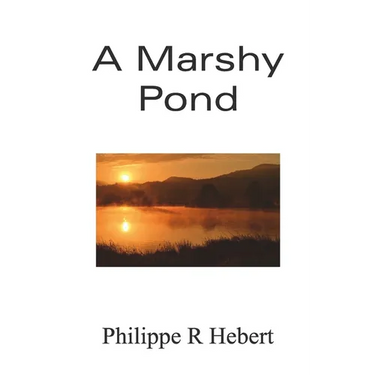 A Marshy Pond