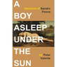 A Boy Asleep Under the Sun: Versions of Sandro Penna