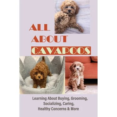 All About Cavapoos: Learning About Buying, Grooming, Socializing, Caring, Healthy Concerns & More: How To Breed Cavapoo
