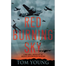 Red Burning Sky