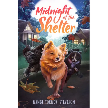 Midnight at the Shelter