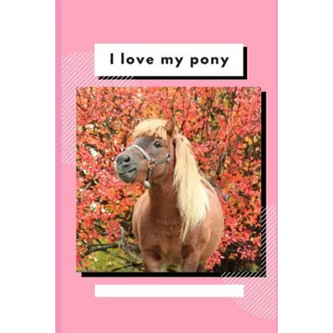 I Love My Pony: Write and Draw About Your Pony