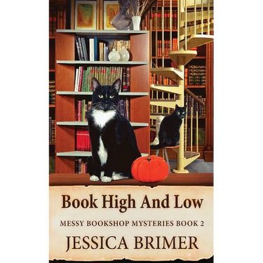 Book High And Low