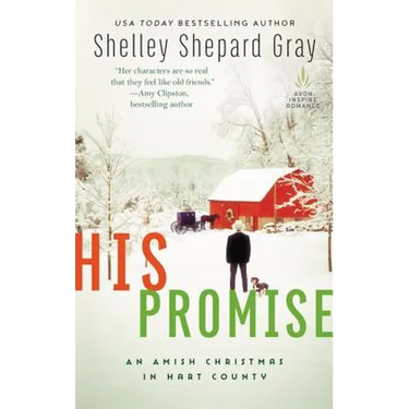 His Promise: An Amish Christmas in Hart County