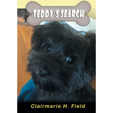 Teddy's Search