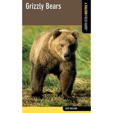 Grizzly Bears