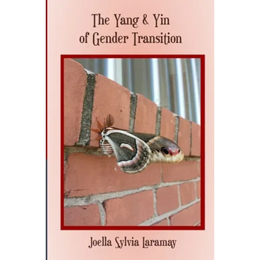 The Yang & Yin of Gender Transition