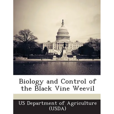 Biology and Control of the Black Vine Weevil