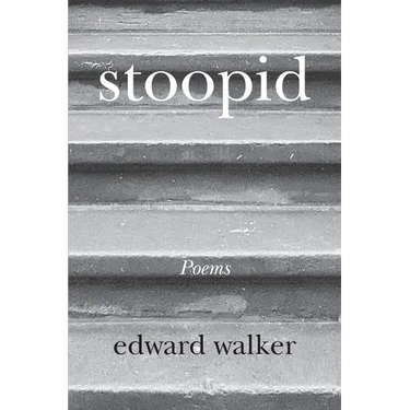 stoopid: Memoir Poems