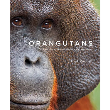 Orangutans: Their History, Natural History and Conservation