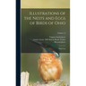 Illustrations of the Nests and Eggs of Birds of Ohio: With Text; Volume 12