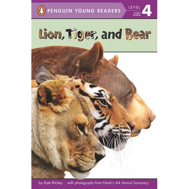 Lion, Tiger, and Bear