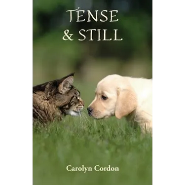 Tense & Still