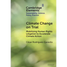 Climate Change on Trial: Mobilizing Human Rights Litigation to Accelerate Climate Action