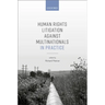 Human Rights Litigation Against Multinationals in Practice