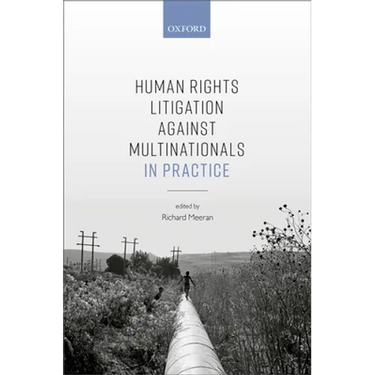 Human Rights Litigation Against Multinationals in Practice