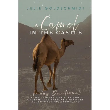 A Camel in the Castle