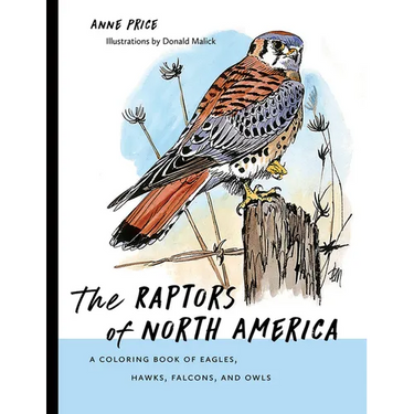 Raptors of North America: A Coloring Book of Eagles, Hawks, Falcons, and Owls