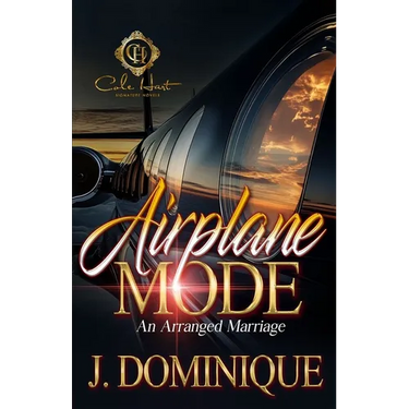 Airplane Mode: An Arranged Marriage