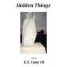 Hidden Things