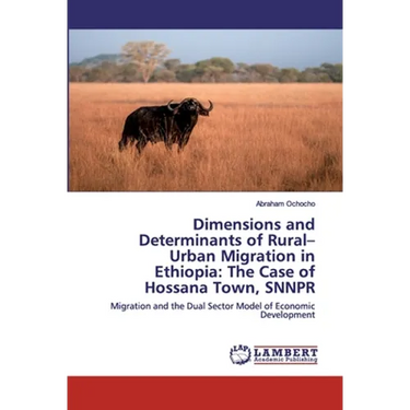 Dimensions and Determinants of Rural-Urban Migration in Ethiopia: The Case of Hossana Town, SNNPR