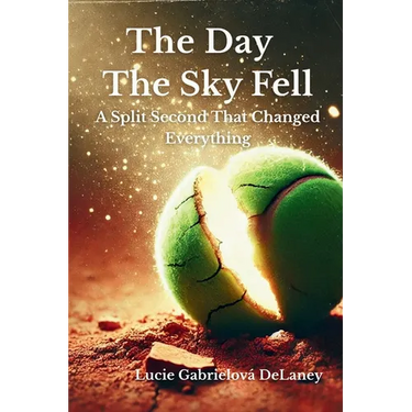The Day The Sky Fell: A Split Second That Changed Everything