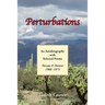 Perturbations