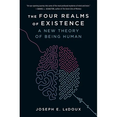 The Four Realms of Existence: A New Theory of Being Human