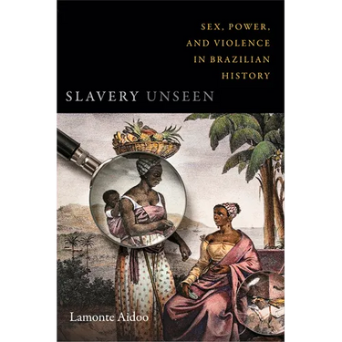Slavery Unseen: Sex, Power, and Violence in Brazilian History