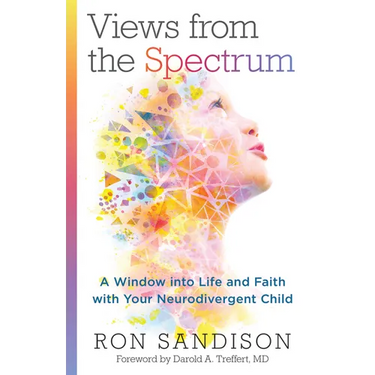 Views from the Spectrum: A Window Into Life and Faith with Your Neurodivergent Child
