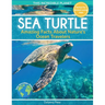 Sea Turtle: Amazing Facts About Nature's Ocean Travelers