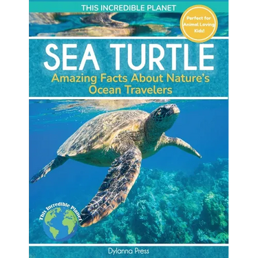 Sea Turtle: Amazing Facts About Nature's Ocean Travelers