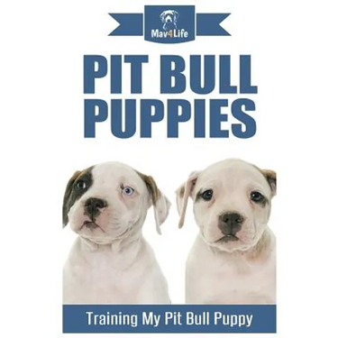 Pit Bull Puppies: Training My Pit Bull Puppy