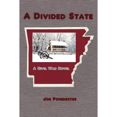 A Divided State: A Civil War Novel