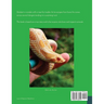 Slithered Away!: Sherbert's Big Adventure