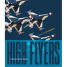 Thunderbirds