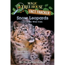 Snow Leopards and Other Wild Cats