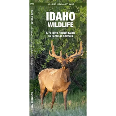 Idaho Wildlife: A Folding Pocket Guide to Familiar Animals