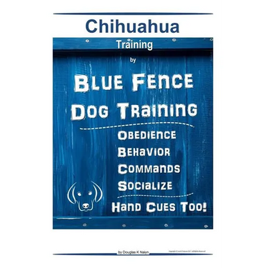 Chihuahua By Blue Fence Dog Training Obedience - Behavior Commands - Socialize Hand Cues Too! Chihuahua Training