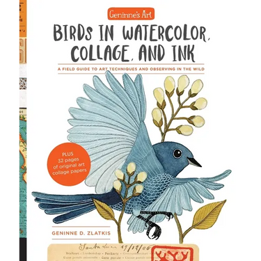 Geninne's Art: Birds in Watercolor, Collage, and Ink: A Field Guide to Art Techniques and Observing in the Wild