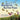 Monarch Butterflies: Up, Up, and Away
