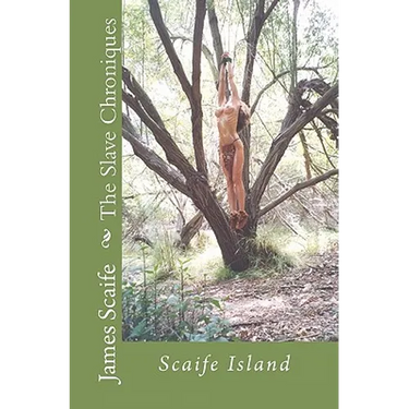 The Slave Chroniques Book 1 Slave Island: Scaife Island