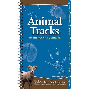 Animal Tracks of the Rocky Mountains: Your Way to Easily Identify Animal Tracks