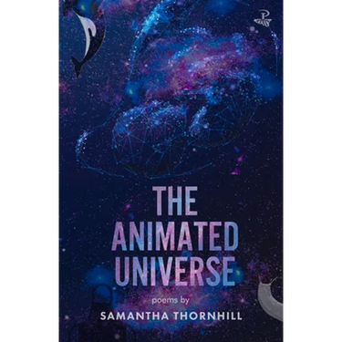 The Animated Universe