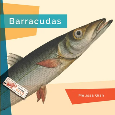 Barracudas