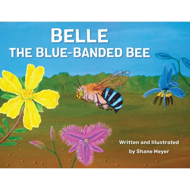 Belle The Blue-Banded Bee