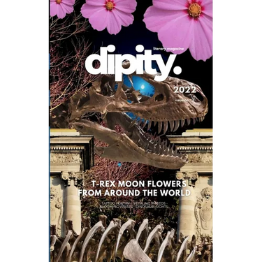 Dipity Literary Magazine Issue #2 (Jurassic Ink Rerun): Softback Economy Edition
