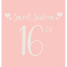 Happy 16th Birthday Guest Book (Hardcover): Sweet Sixteen Guest book, party and birthday celebrations decor, memory book, 16th birthday, happy birthda