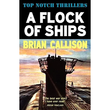 A Flock of Ships